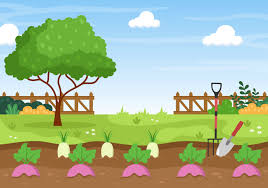 Activity 3